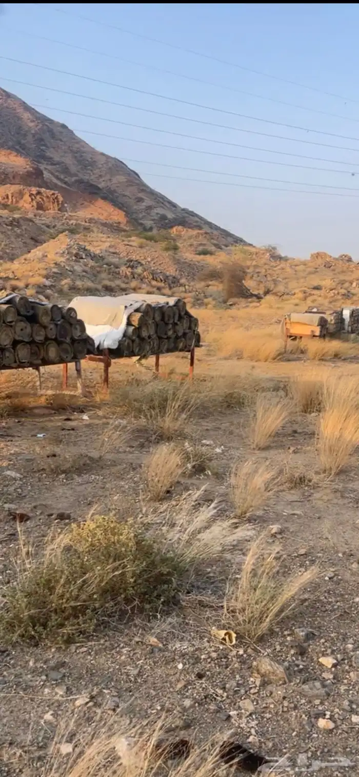 عسل جبلي صافي جديد من منحلي شخصيا 13