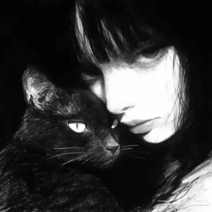 يوزرات انستا 0