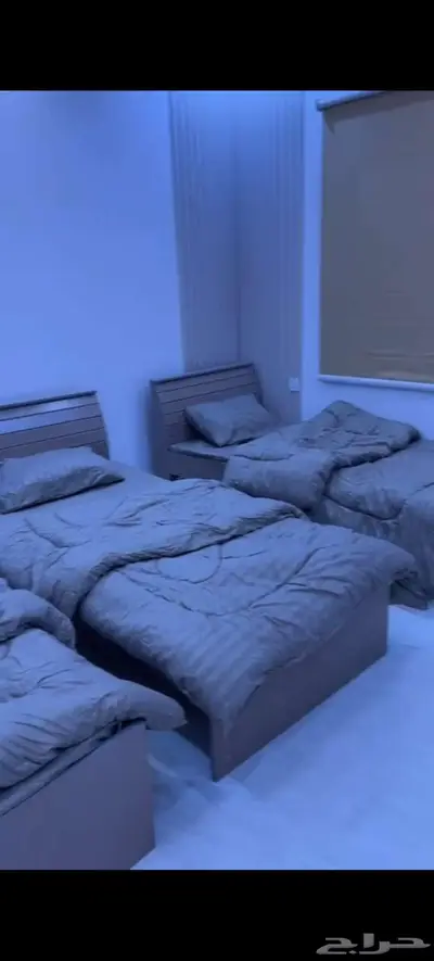 ششق مفروشة للايجار 6