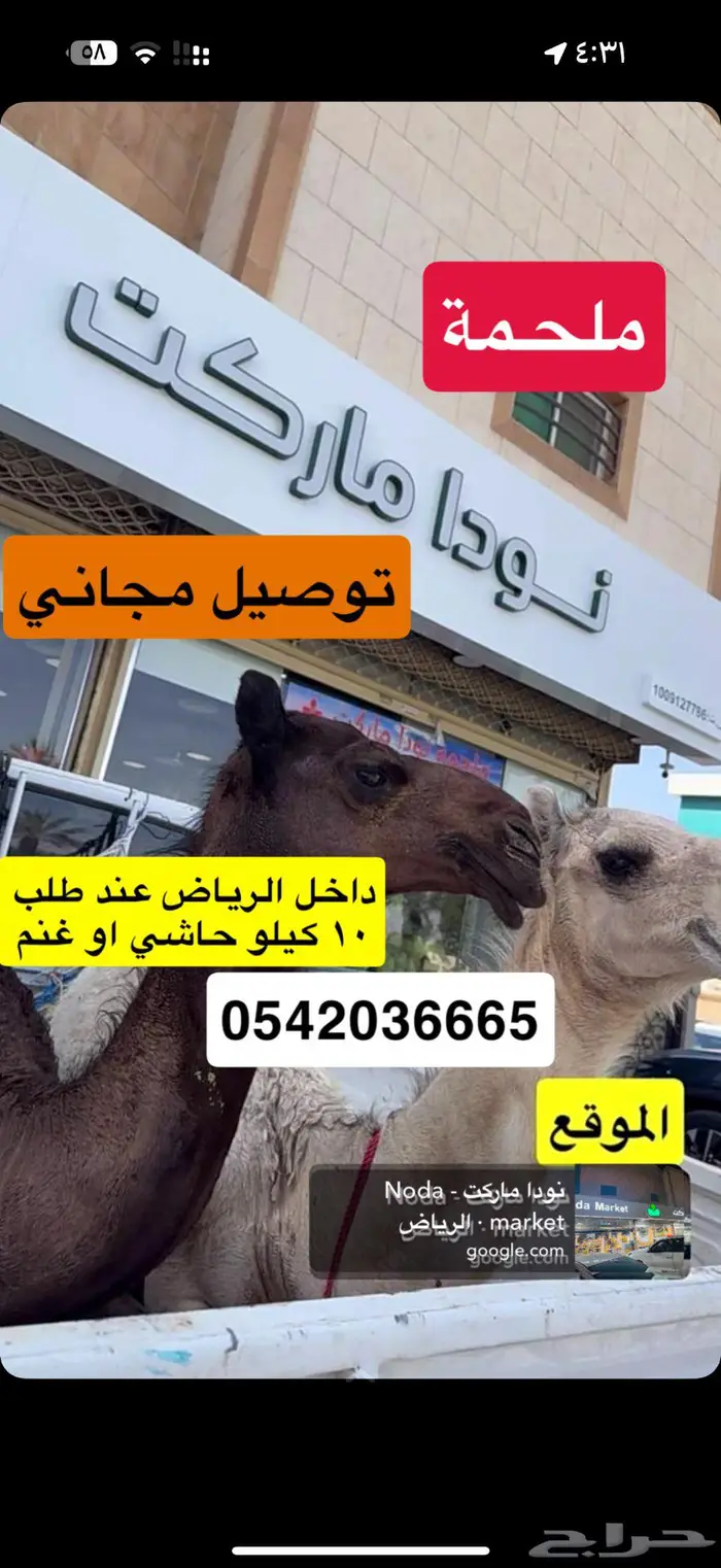 عرض ناري الحاشي لباني 47 ريال فقط 1