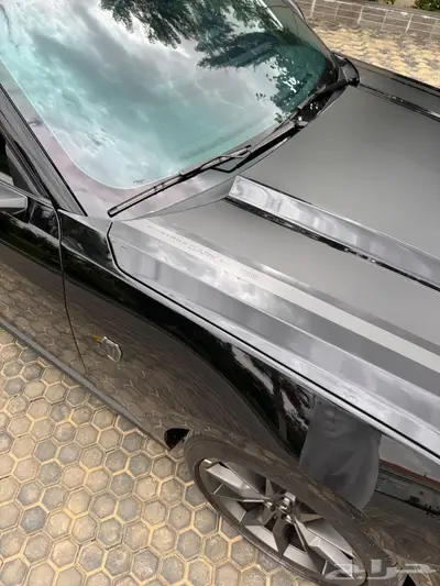 موستنج دارك هورس 2024 13