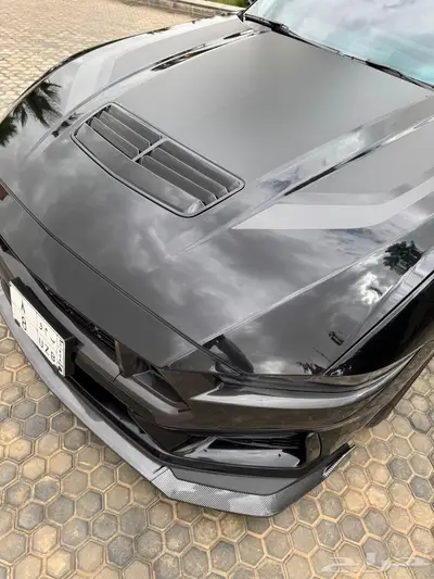 موستنج دارك هورس 2024 12