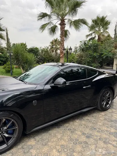 موستنج دارك هورس 2024 11