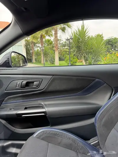 موستنج دارك هورس 2024 16