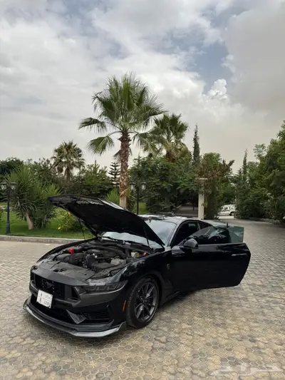 موستنج دارك هورس 2024 10