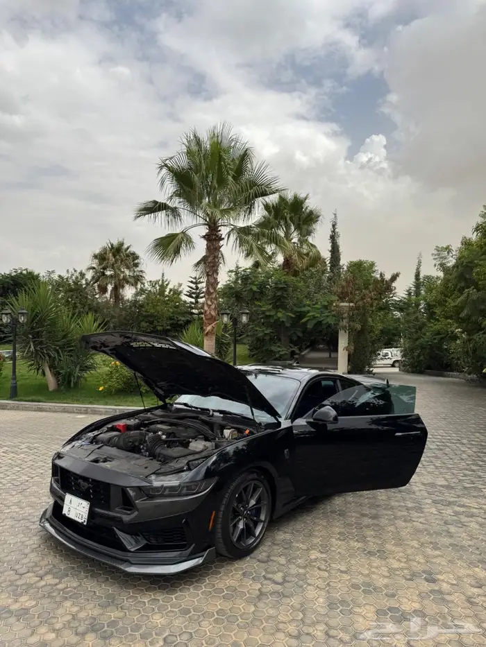 موستنج دارك هورس 2024 10