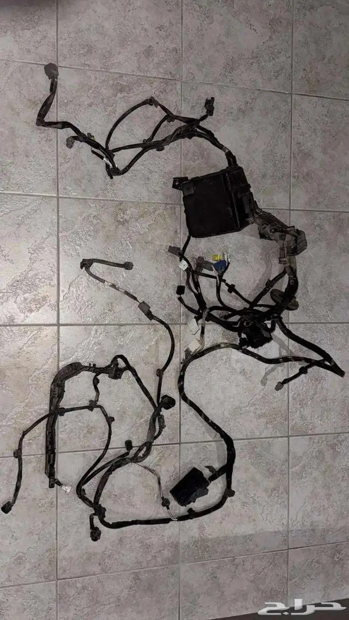 للبيع ظفيره يارس 2025 0