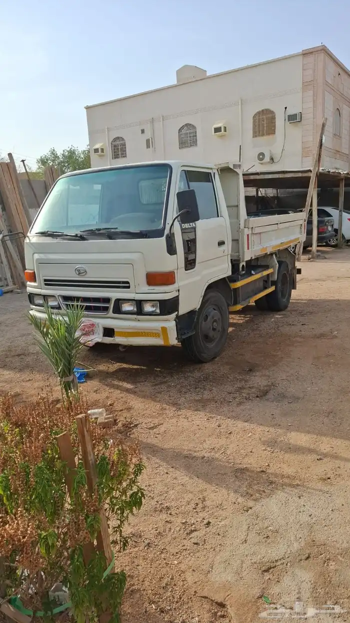 دينا 2003 1