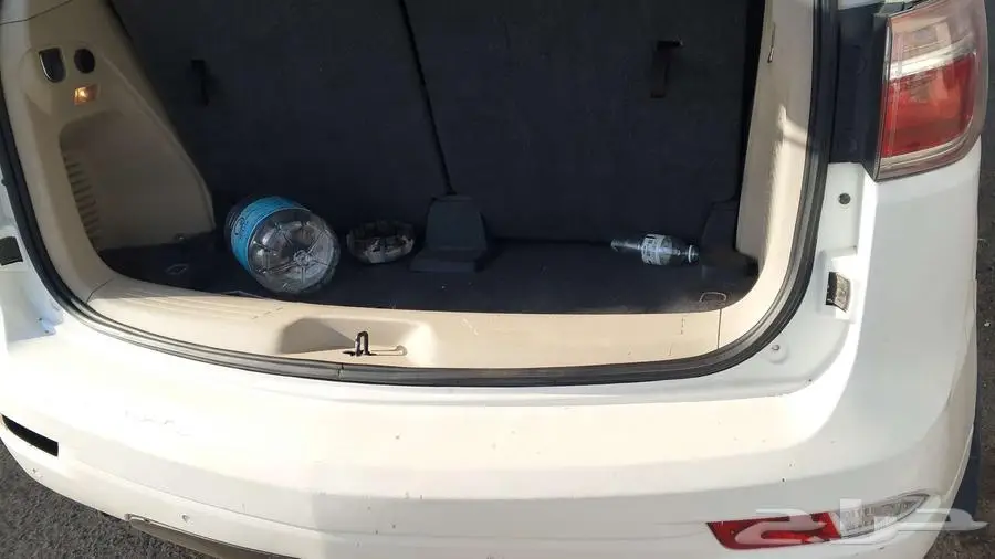 بايزر2013 0