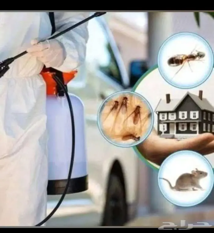 شركة تنظيف شقق كنب تنظيف منازل نظافه عامه بالدمام 10