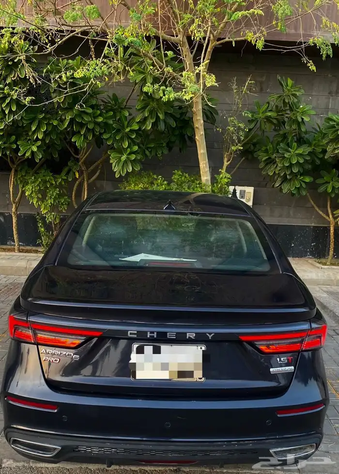 شيري اريزو 6 11