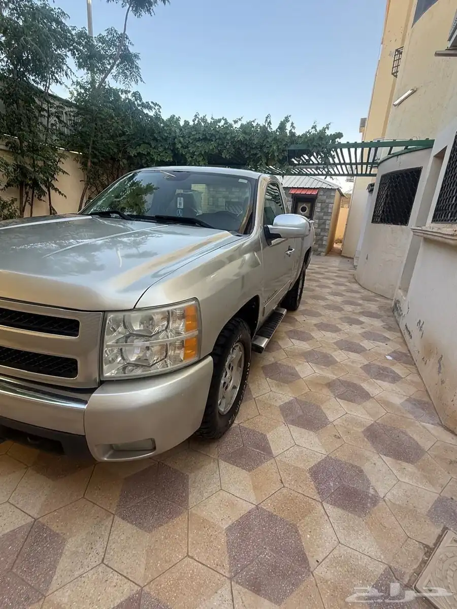 سلفرادو 10