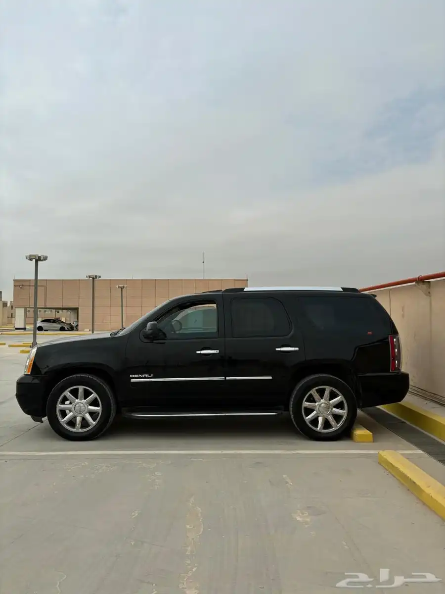 جمس دينالي 2010 14