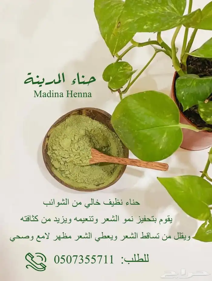 حناء المدينة 0