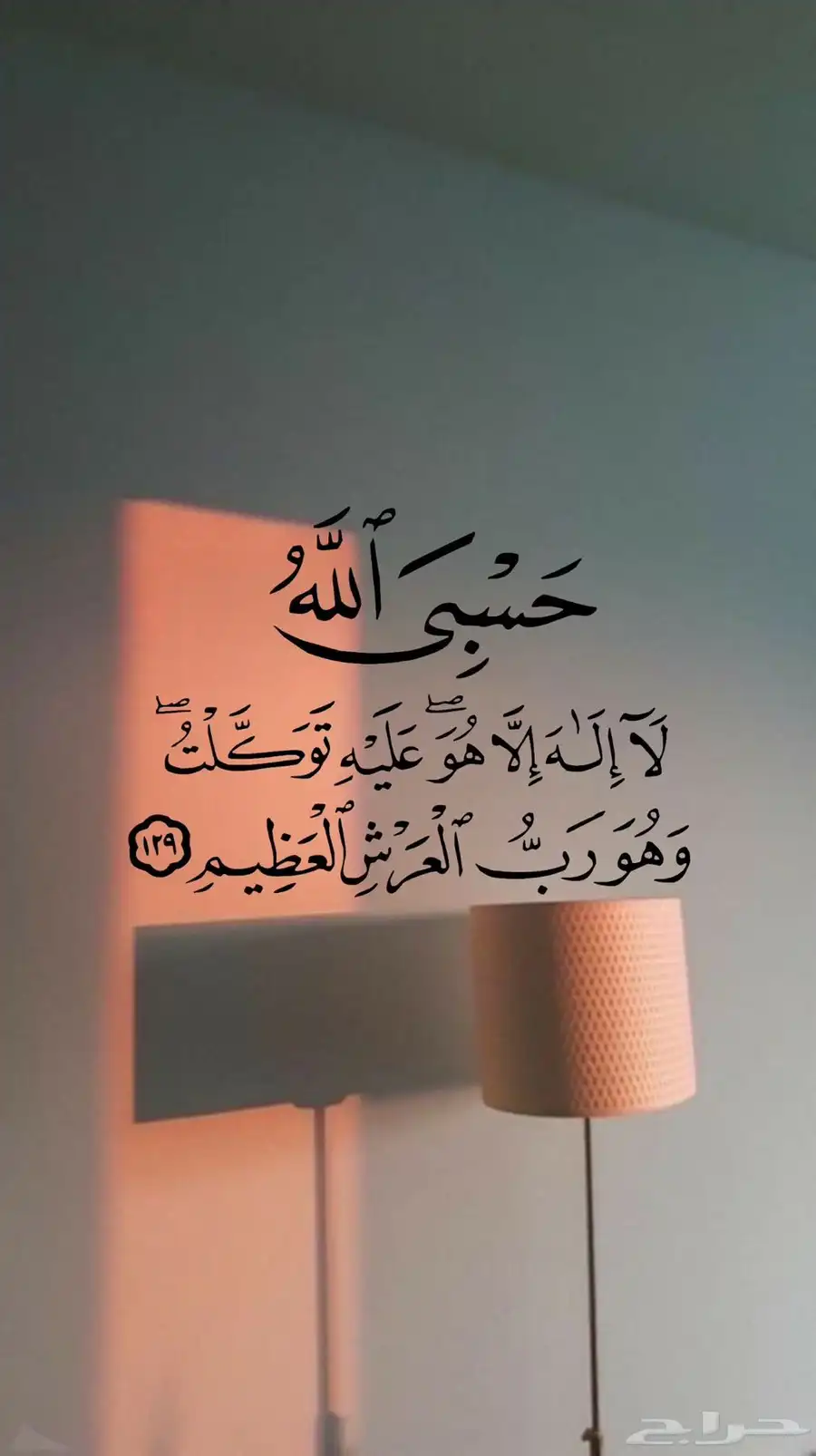 طاوله 8