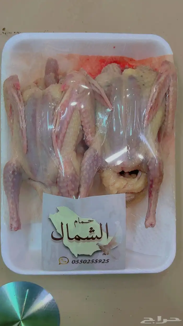 حمام فرنسي للبيع مذبوح وجاهز 5