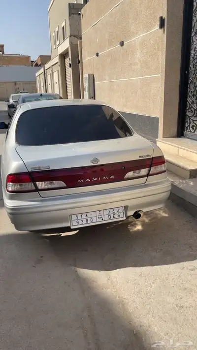 مكسيما1998 7