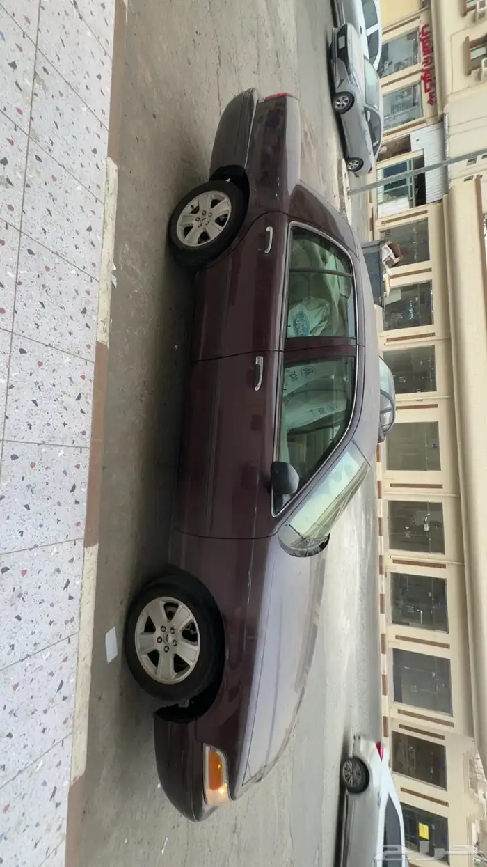 بارق 12