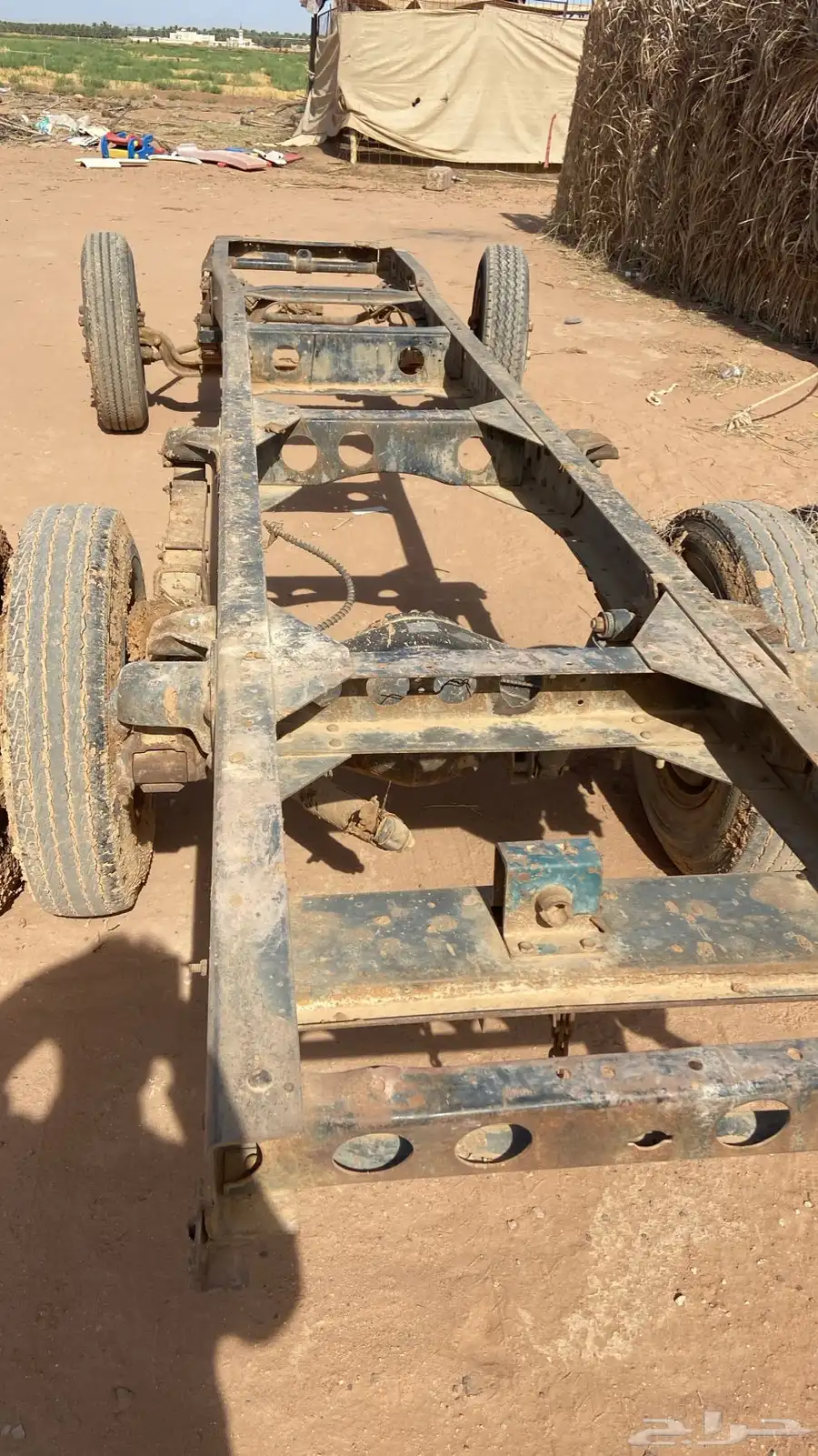 شاص دينا 0