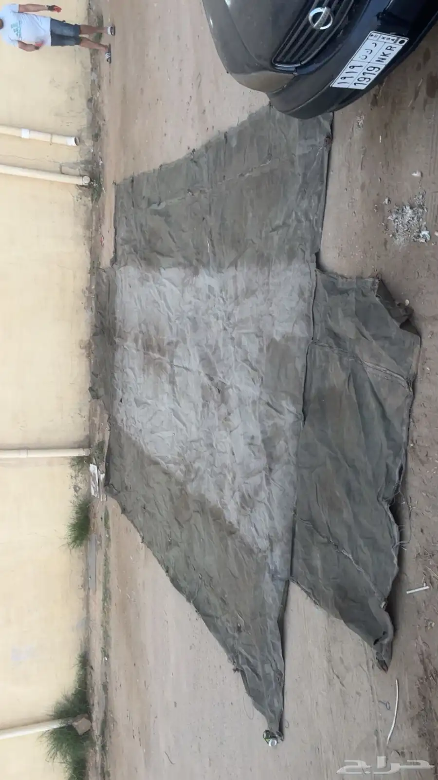 شراع دن ه 1
