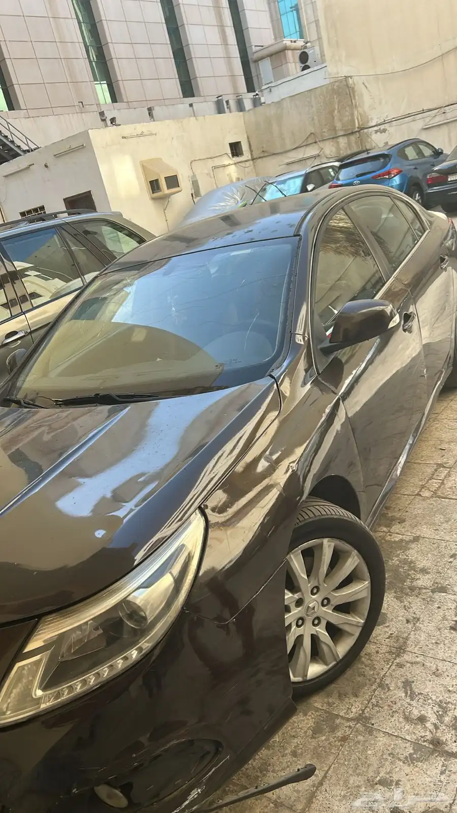 رينو سافران 2014 2