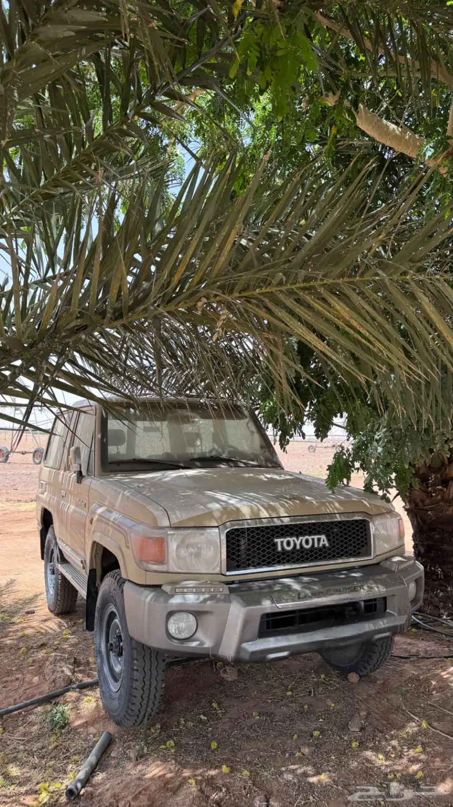 جيب ربع 0