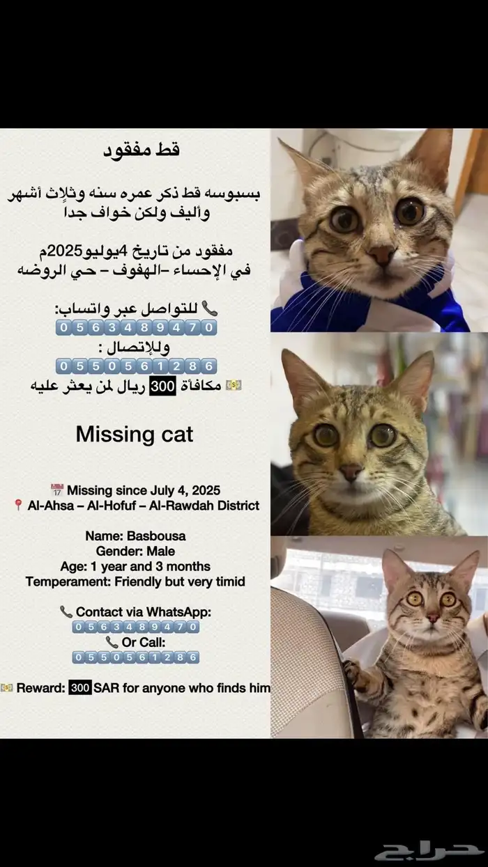 بسه ذكر ضايعه 2