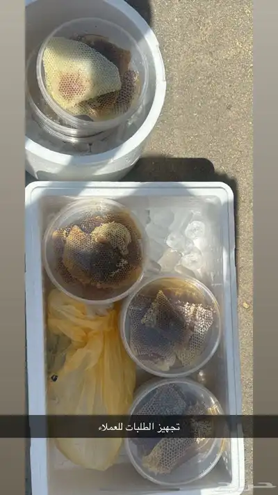 عسل طلح الشمال البري الطبيعي 0