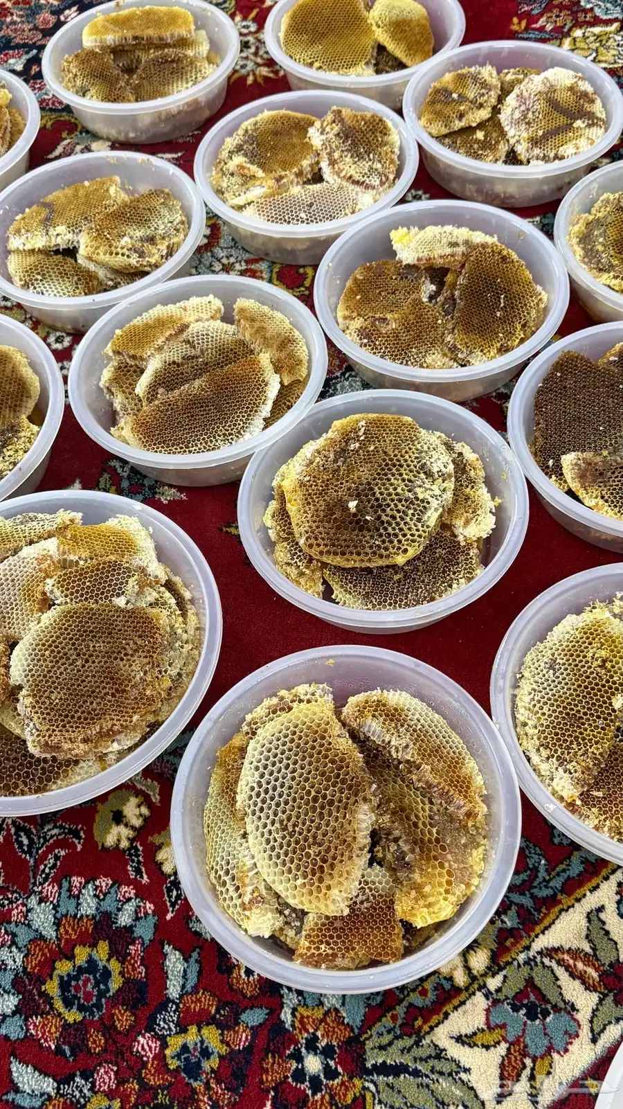عسل طلحة 2025 2