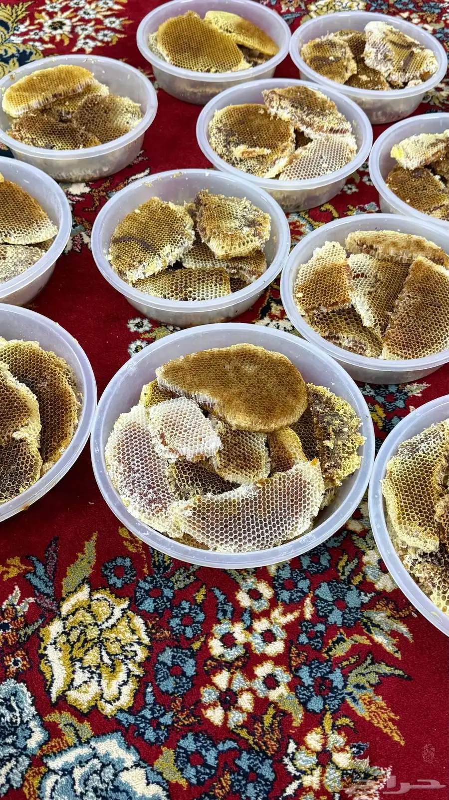 عسل طلحة 2025 0