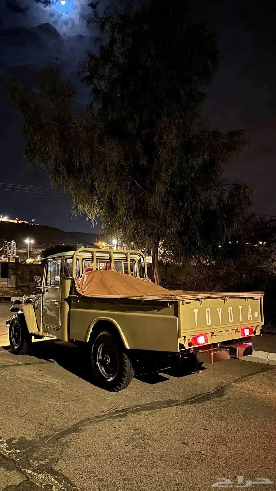 شاص 1980 2