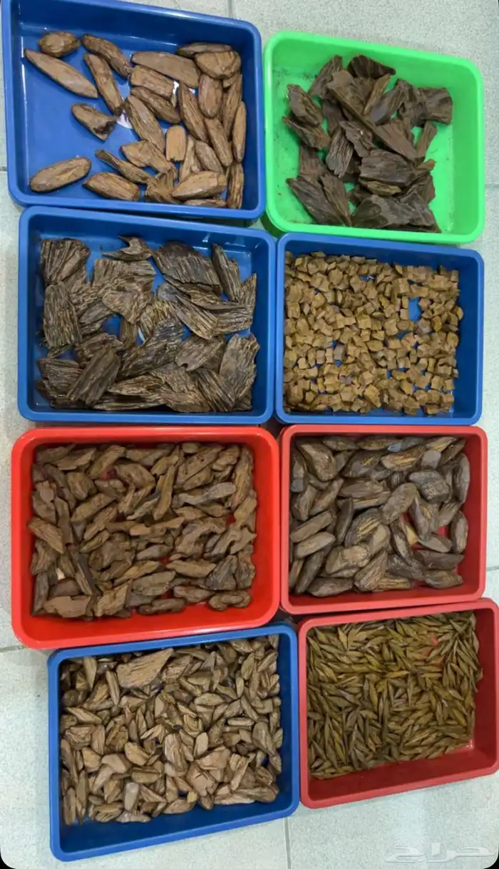 انواع العود بسعر رمزي 1