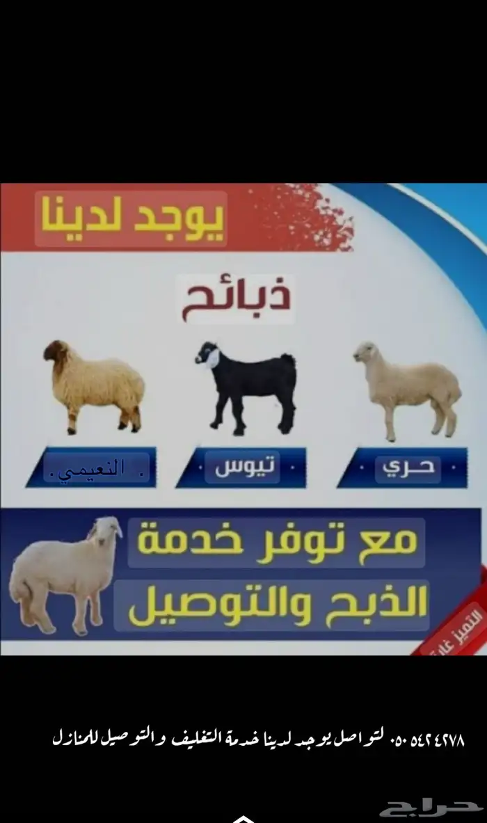 سلام عليكم يوجد لدينا ذبائح حري تيوس 0