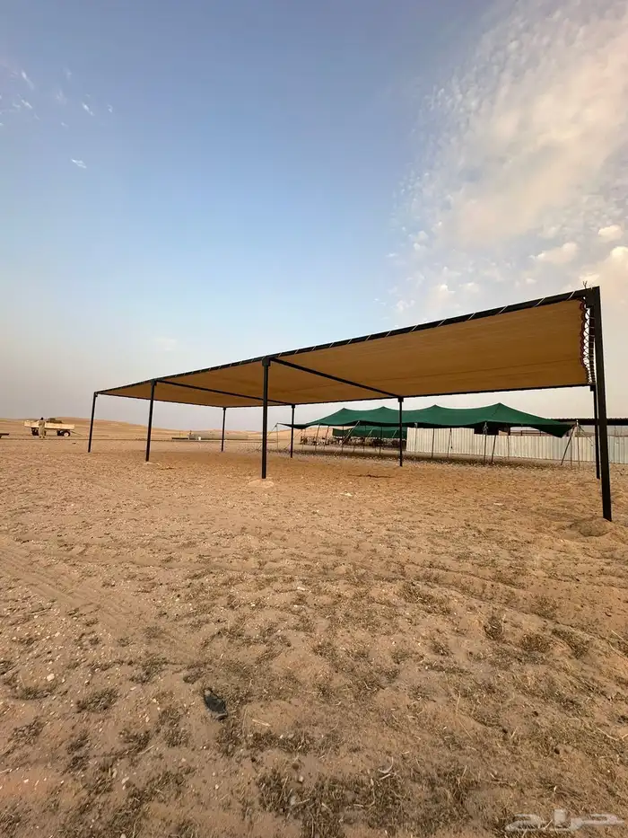 مضلات الابل 2