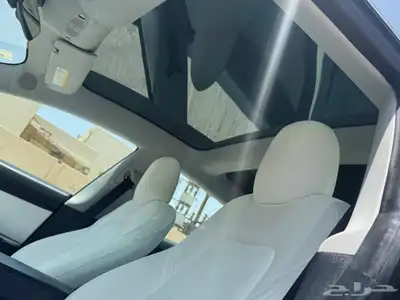 Tesla Model 3 12