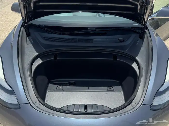 Tesla Model 3 25
