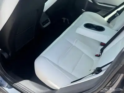 Tesla Model 3 10