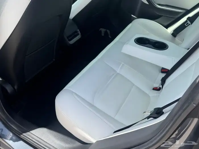 Tesla Model 3 10