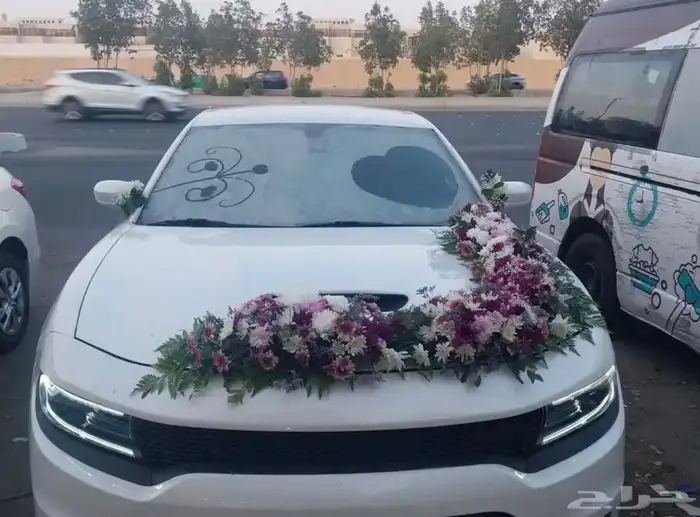 تشريع سيارات في الموقع 10