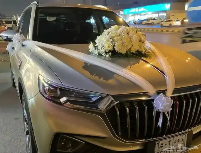 تشريع سيارات في الموقع 1
