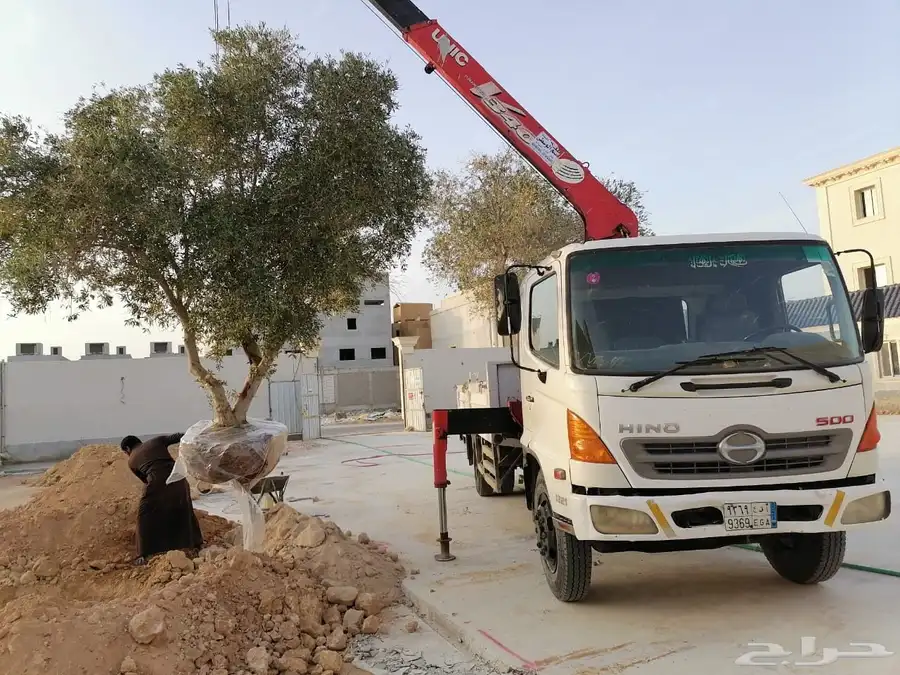 معده راس تريله 2011 1