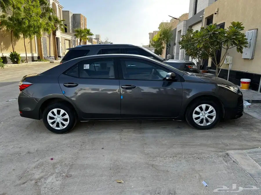 كورولا 2019 3