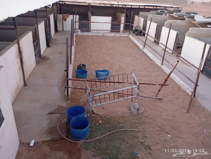 اسطبل خيل للتقبيل في النقادي ينبع 1