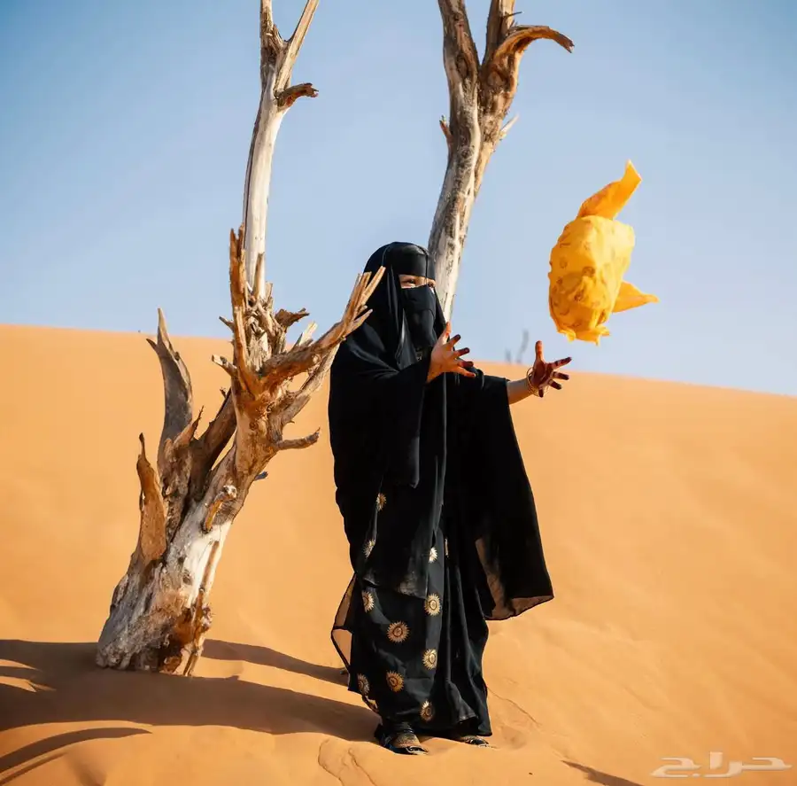 مصور فوتوغرافي بسعر مميز 26