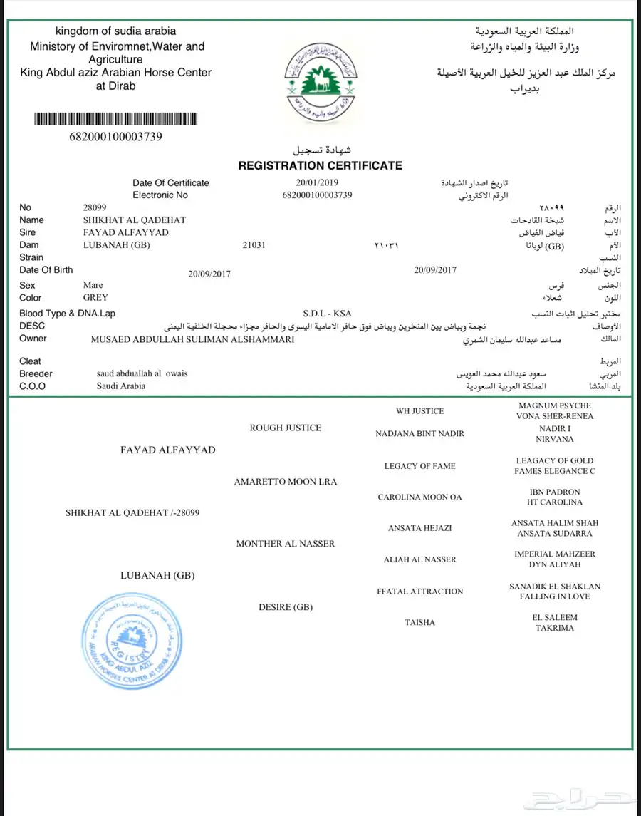 مهر عربي 1