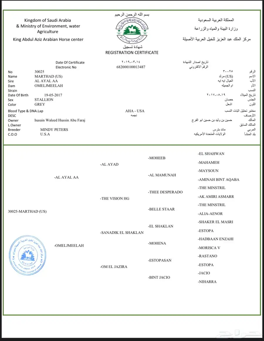 مهر عربي 0