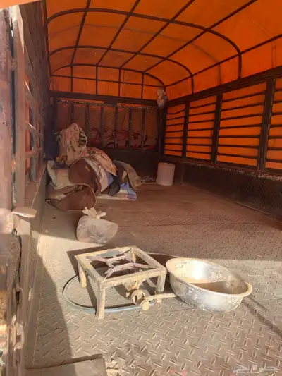 صندوق دينا برحى للبيع 4