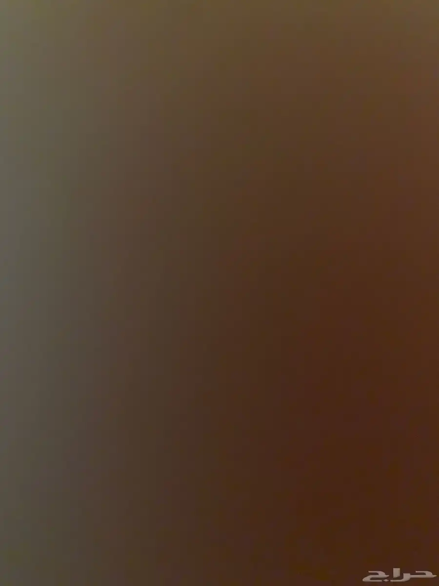 دجاج باكستاني سندي و شامو يباني كفو 0