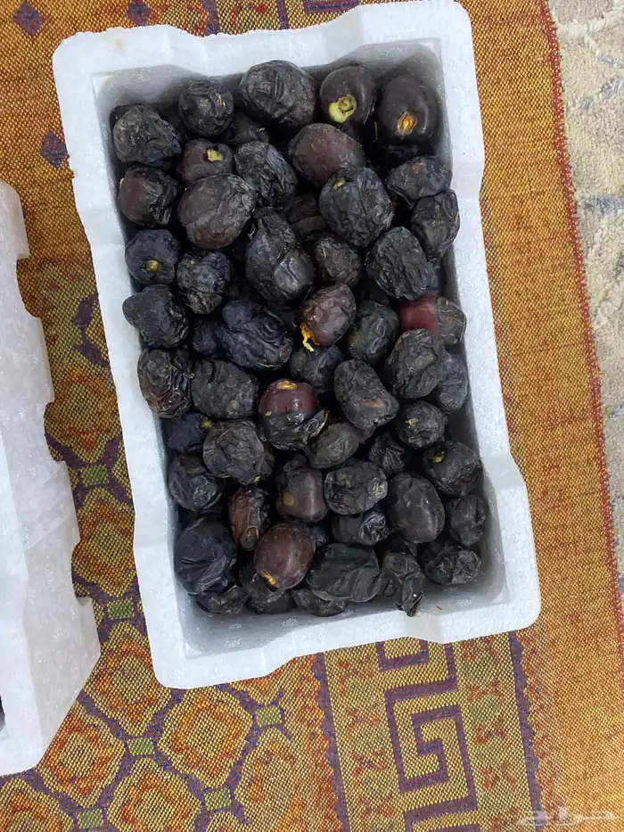 تمر عجوا 1