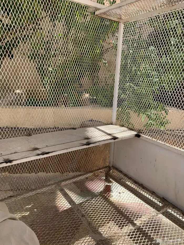 شبك طيور 1